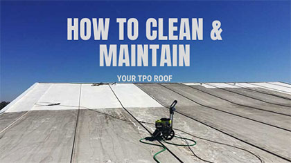 tpo clean blog banner